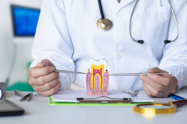 Best Emergency Dental Filling Replacement  in Columbia Falls, MT
